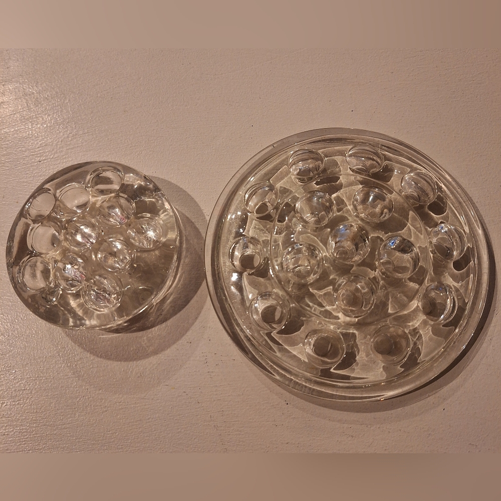 Elegant Glass Flower Frog Set